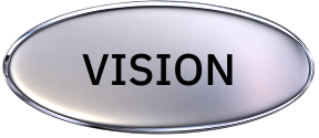 Vision